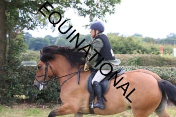 QAR-1874