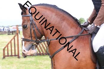 QAR-1876
