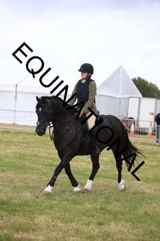 QAR-2074