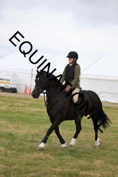 QAR-2075