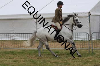 QAR-2278