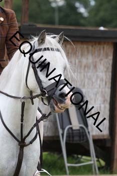 QAR-2364