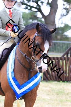 QAR-2396