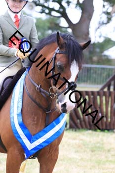 QAR-2397