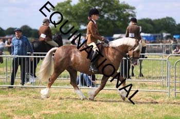 1_ARC-1491
