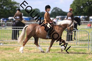 1_ARC-1492