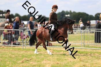 1_ARC-1493