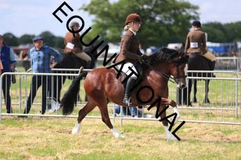 1_ARC-1494