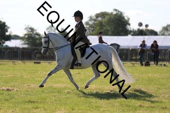 ARC-1116