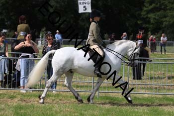 ARC-1497