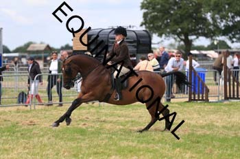 ARC-1843