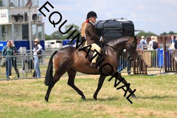 ARC-1913