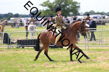 ARC-1946