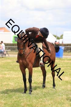 ARC-1997