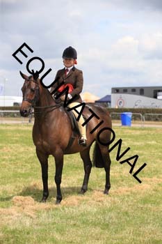 ARC-2015