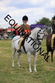 ARC-2312