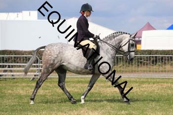 ARC-2671