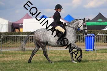ARC-2678