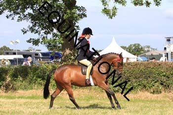 EGG-1121