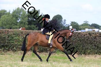 EGG-1462