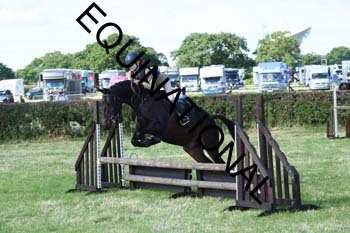 1_DBT-1036