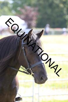 INP-1418