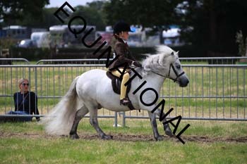 INP-1933