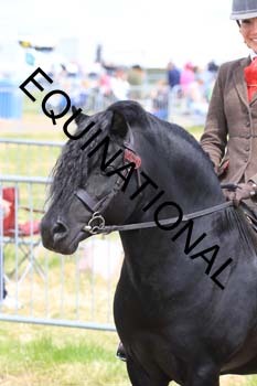 INP-1946