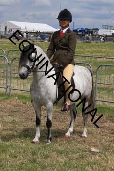 INP-1987