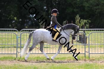INP-2620