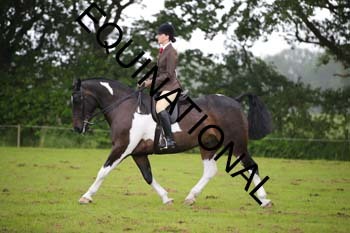 JNE-1134