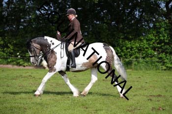 JNE-1502