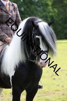 JNE-1611