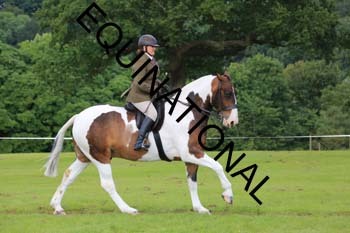 JNE-3110