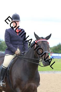 GGV-1374