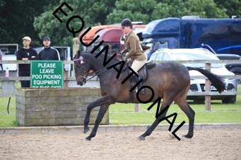 GGV-1790