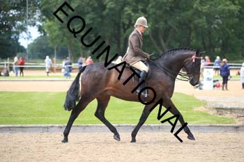 GGV-1945