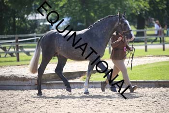 GGV-2254