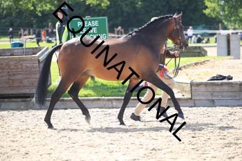 GGV-2260