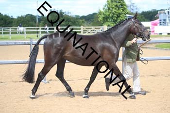 LEF-2044