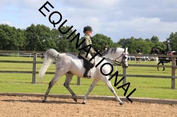 MTR-1480