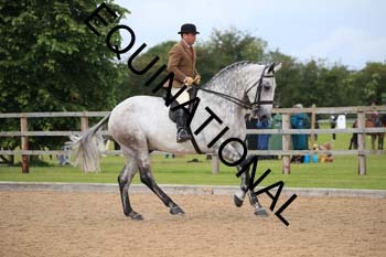 GLB-1919