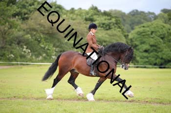 APP-1931