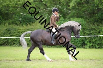 APP-1947
