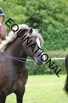 APP-2092