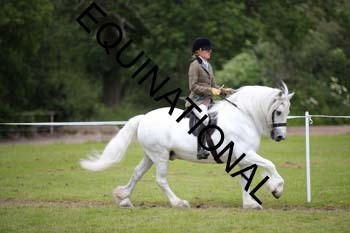 APP-2234