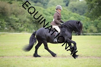 APP-2244