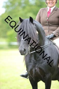APP-2344