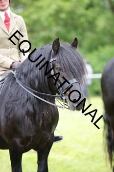 APP-2356