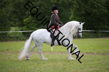 APP-2392